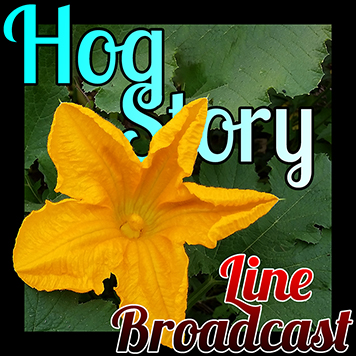 Hog Story #127 Line Broadcast