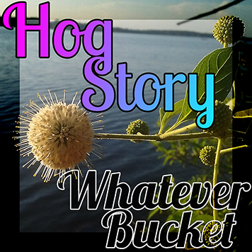 Hog Story #130 Whatever Bucket
