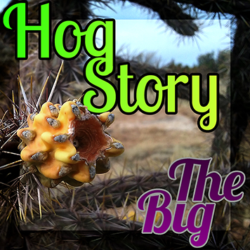 Hog Story #135 The Big