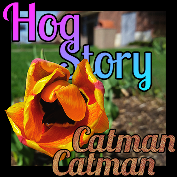 Hog Story #139 Catman Catman