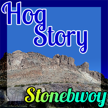 Hog Story #141 Stonebwoy