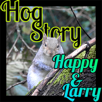 Hog Story #143 Happy and Larry