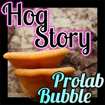 Hog Story #144 Prolab Bubble
