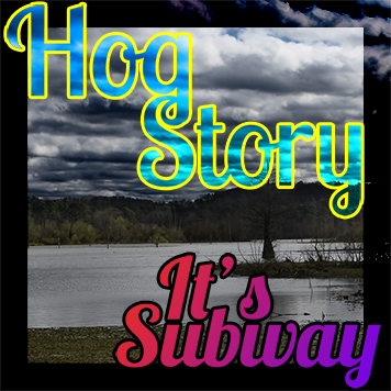 Hog Story #147 It’s Subway