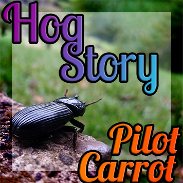 Hog Story #148 Pilot Carrot