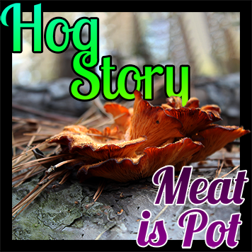 Hog Story #149 Meat is Pot