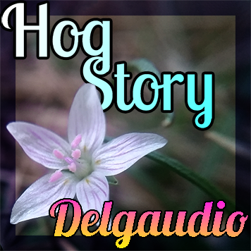 Hog Story #158 Delgaudio