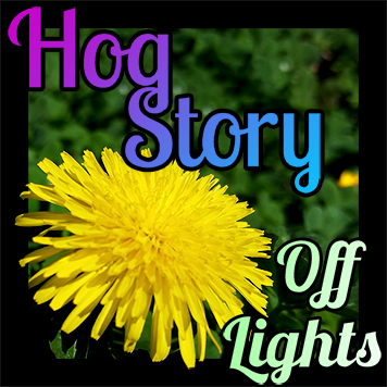 Hog Story #162 – Off Lights
