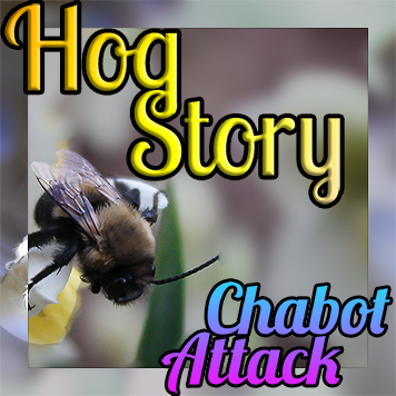 Hog Story #164 – Chabot Attack
