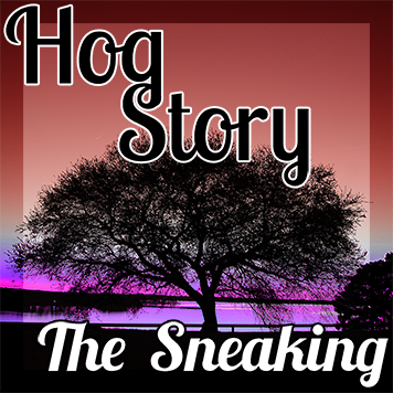 Hog Story #166 – The Sneaking