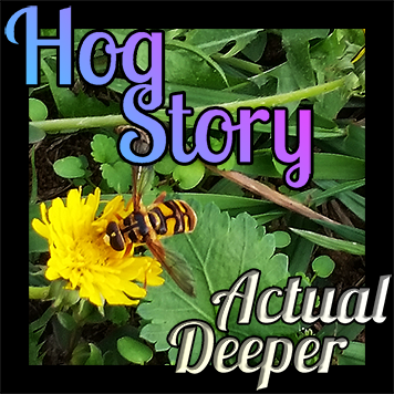 Hog Story #167 – Actual Deeper