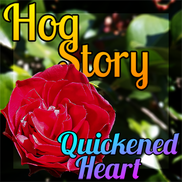 Hog Story – #169 – Heart Quickened