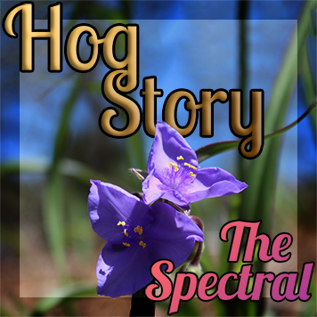Hog Story #170 – The Spectral