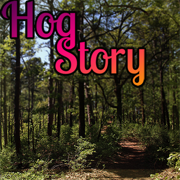 Hog Story #175 – Chance Bump- In