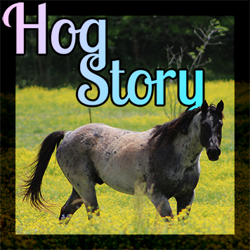 Hog Story #182 – Buck Pole