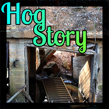 Hog Story #183 – Maguey Zombie
