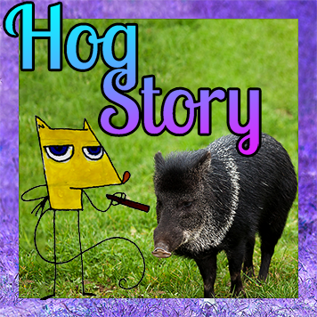 Hog Story #191 Room Slash