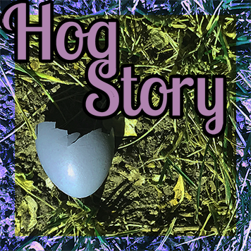 Hog Story #196 – Pump Out