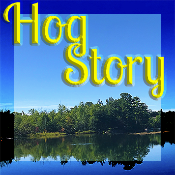 Hog Story #202 – The Stash