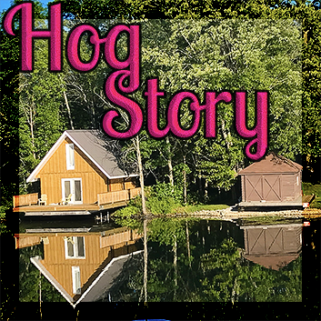 Hog Story #203 – Big Hotdog