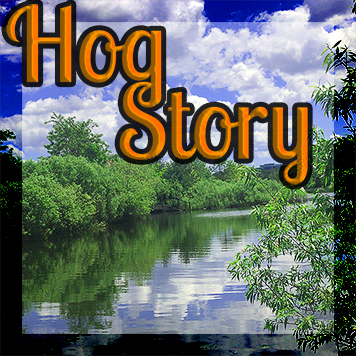 Hog Story #205 – National Scottsdale