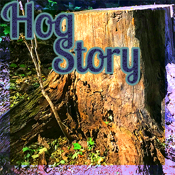 Hog Story #198 – Xing Tong