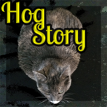 Hog Story #213 – Wichita Breakers