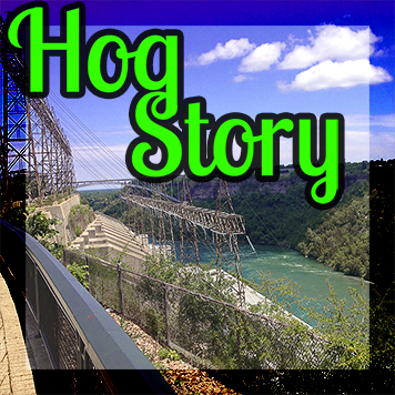 Hog Story #209 – Bulb Can