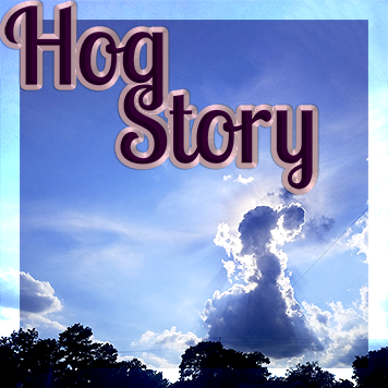 Hog Story #210 – Sushi Cetera