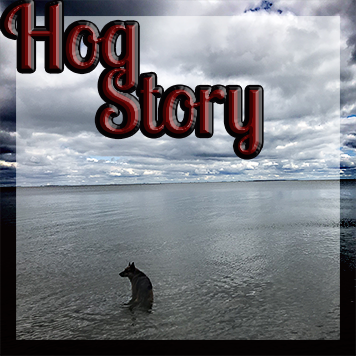 Hog Story #217 – Nunchuck River