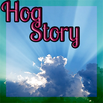 Hog Story #220 – With Maintenance