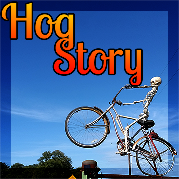 Hog Story #222 – Round Aboot