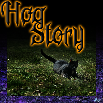 Hog Story #228 – Blinking Here