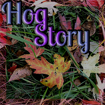 Hog Story #235 – Accident Foot