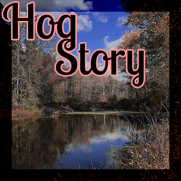 Hog Story #232 – Hello XIV