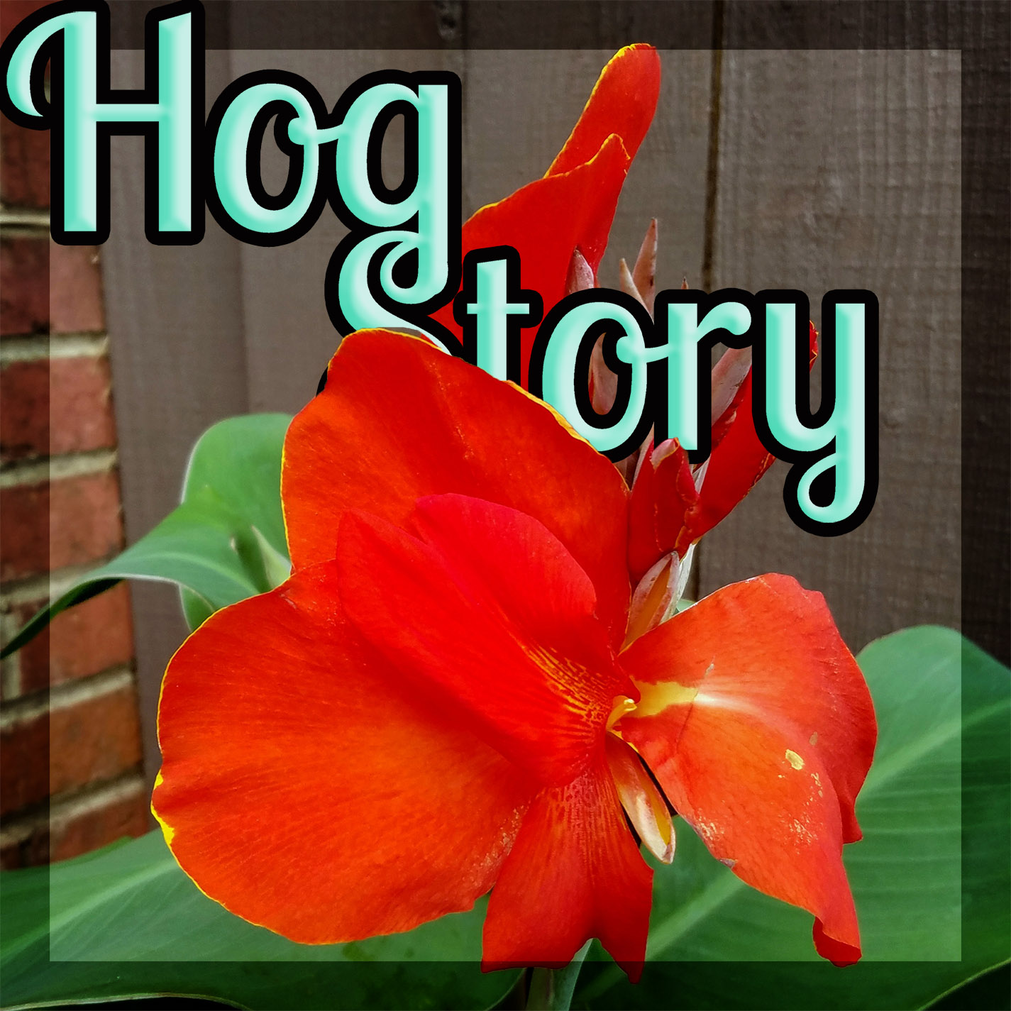Hog Story #302 – Vocal Core