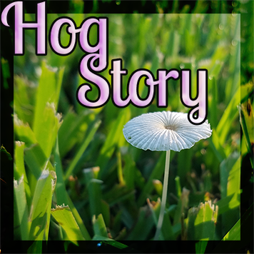 Hog Story #311 – Trees and Furniture
