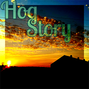 Hog Story #316 – Iron Cheeks