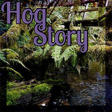 Hog Story #321 – Blatantly Falls