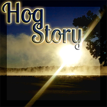 Hog Story #324 – Pain Tomato