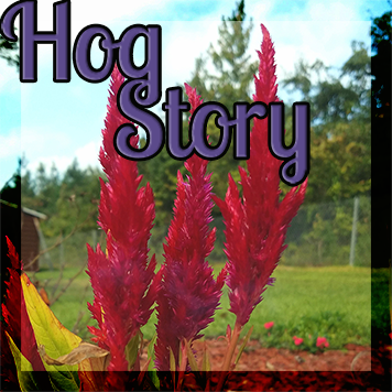 Hog Story #326 Power Tree