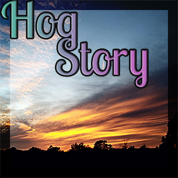 Hog Story #329 – Pump Pumps