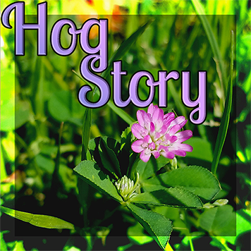 Hog Story #348 – Little Spigen