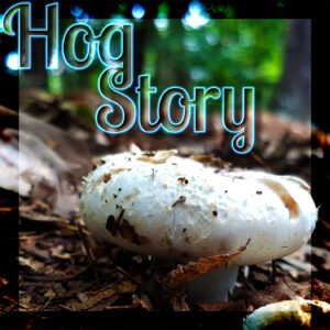 Hog Story #354 – Throat My Detergent