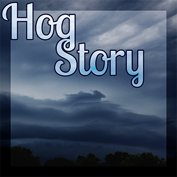 Hog Story #356 – Barbeque Toys