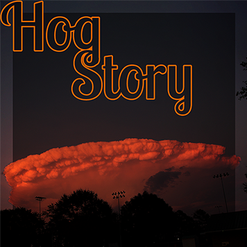 Hog Story #367 – Sorry Chocolate