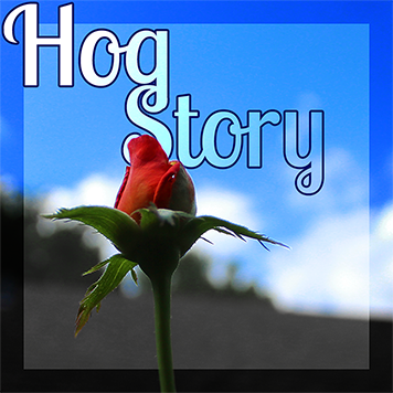 Hog Story #371 – Justized Me