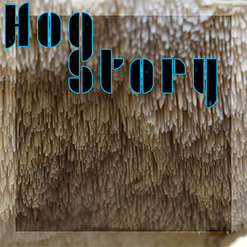 Hog Story #380 – Brown Tuesday