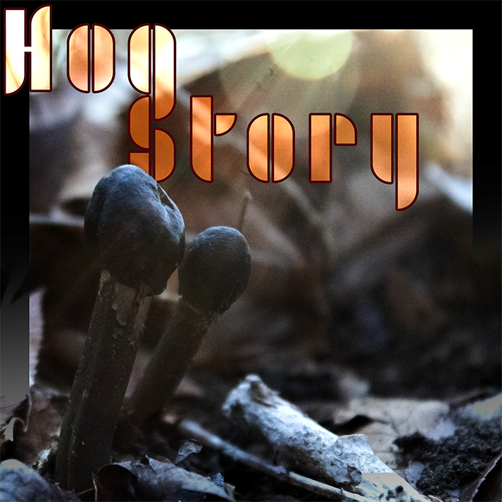 Hog Story #411 – Twizzly