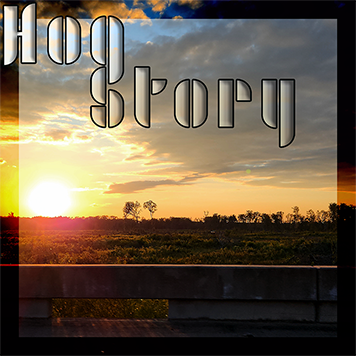 Hog Story #413 – Flash Breakdown